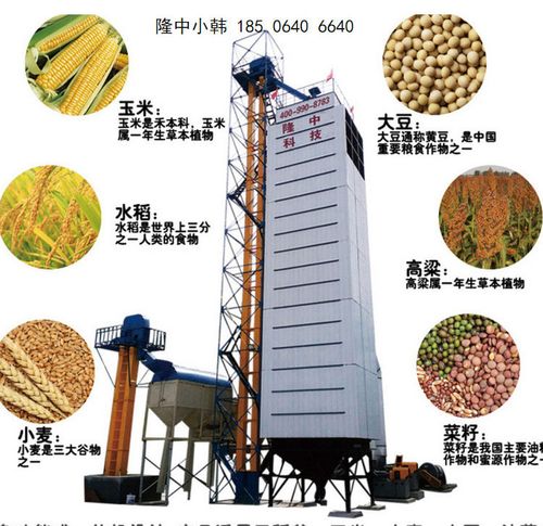 隆中100吨稻谷烘干机机械小麦烘干机小型大型湖南衡阳工厂